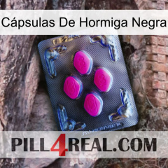 Cápsulas De Hormiga Negra 02